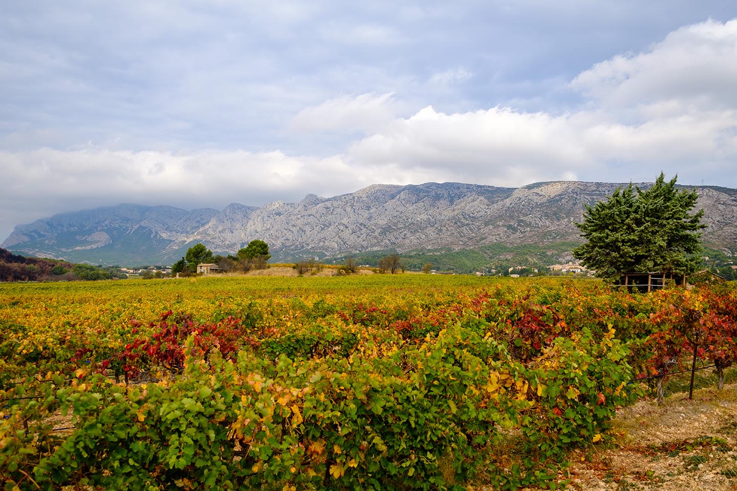 Actualités 13 L'automne en Pays d'Aix : une saison propice au développement économique