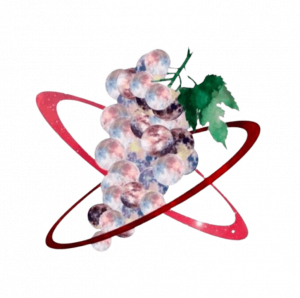 Logo planet of the grapes