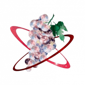 Planet of the Grapes, pour une mode éthique et durable 1 logo Planet of the Grapes