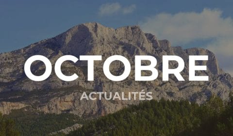 Les actualités des entreprises implantées dans le Pays d'Aix en octobre (2025) 28 AGENDA ECO SITE INTERNET 11
